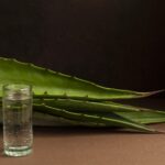 Aloe Vera: benefícios, usos e cuidados na rotina de beleza natural