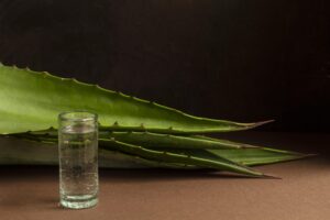 Aloe Vera: benefícios, usos e cuidados na rotina de beleza natural